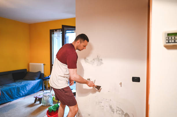 Best DIY Mold Remediation Support Services in Willow Park, TX
